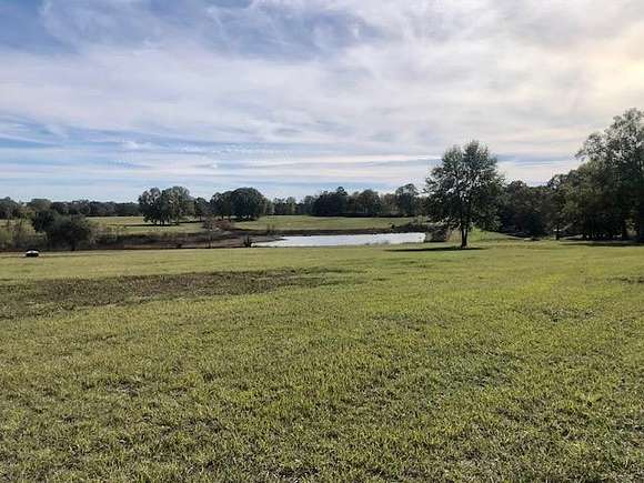 5.3 Acres of Residential Land for Sale in Franklinton, Louisiana