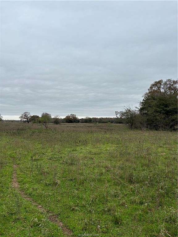 73.4 Acres of Land for Sale in Rockdale, Texas