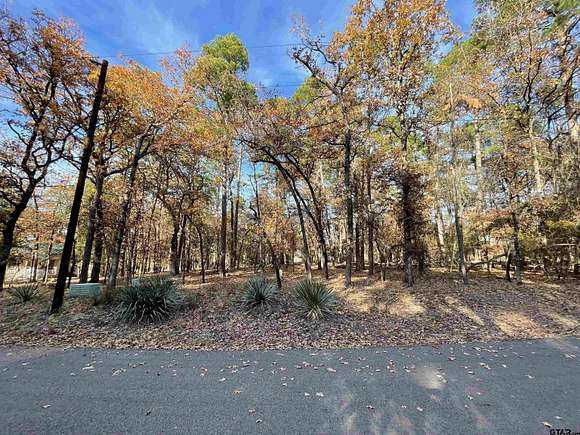 0.2 Acres of Residential Land for Sale in Holly Lake Ranch, Texas