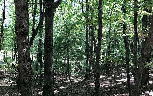 1.8 Acres of Residential Land for Sale in Hayesville, North Carolina