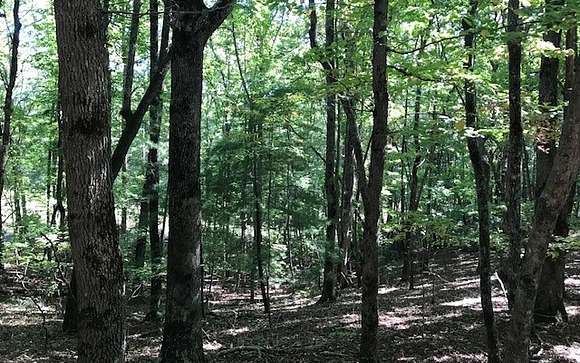 1.82 Acres of Residential Land for Sale in Hayesville, North Carolina