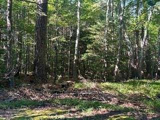 0.2 Acres of Residential Land for Sale in White Stone, Virginia