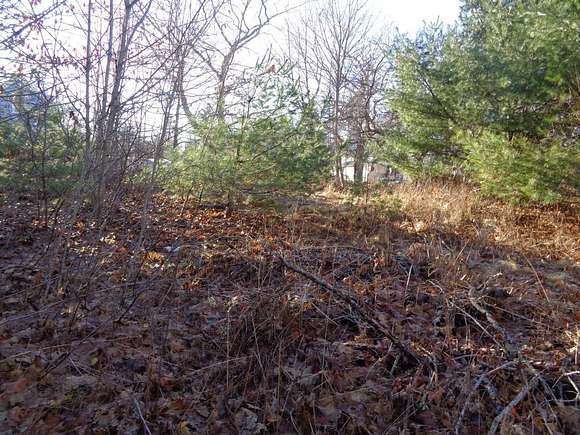3.7 Acres of Residential Land for Sale in Sullivan, Maine