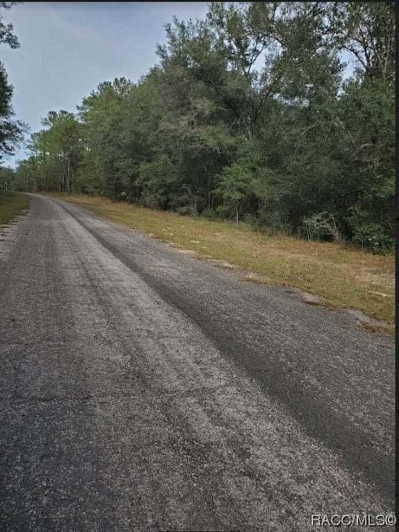 0.23 Acres of Residential Land for Sale in Citrus Springs, Florida