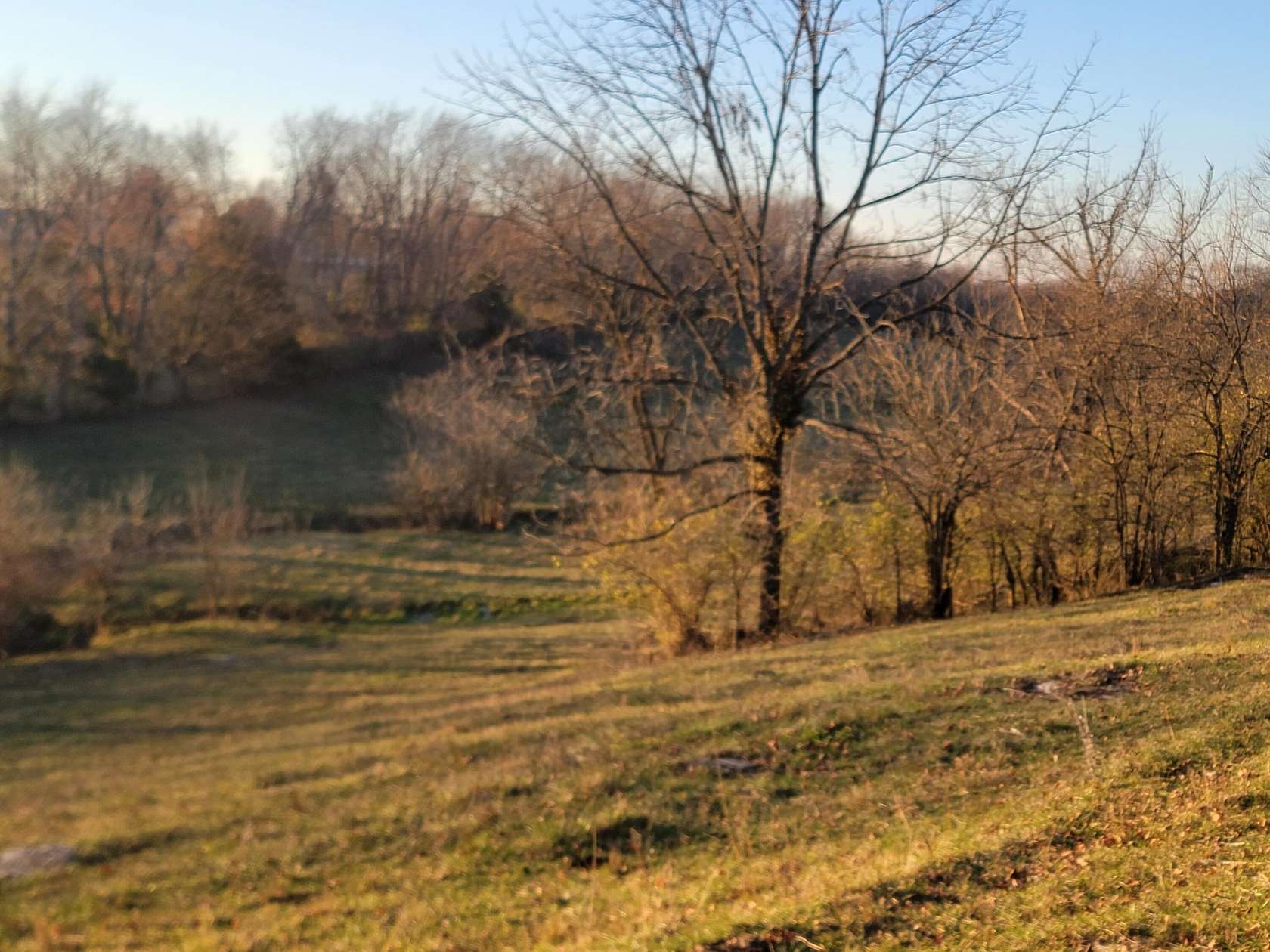 5 Acres of Residential Land for Sale in Nicholasville, Kentucky