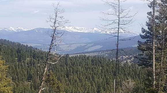 40 Acres of Land for Sale in Helmville, Montana