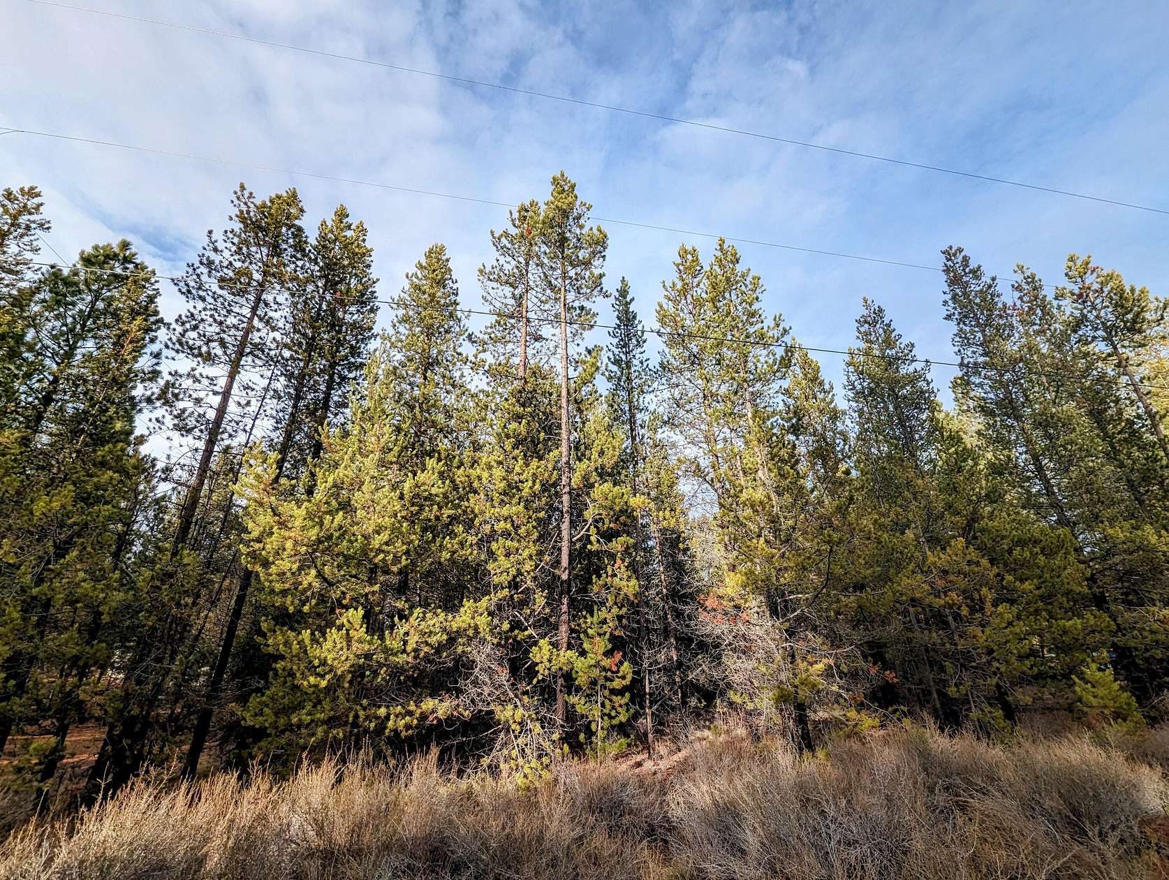 1 Acre of Residential Land for Sale in La Pine, Oregon
