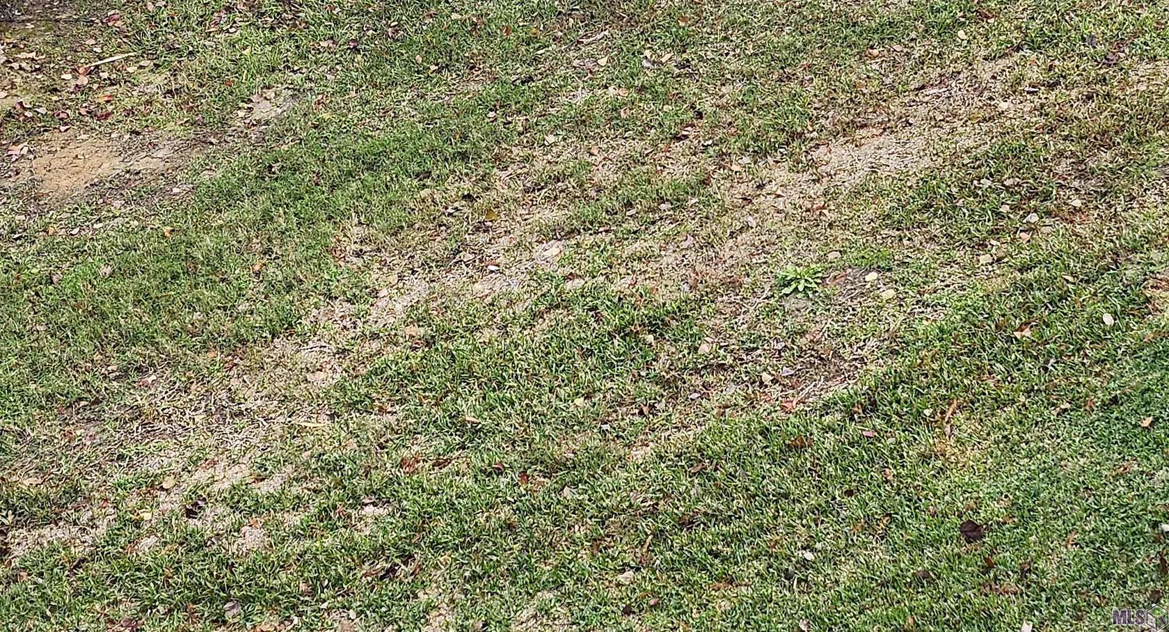 0.2 Acres of Residential Land for Sale in Baton Rouge, Louisiana