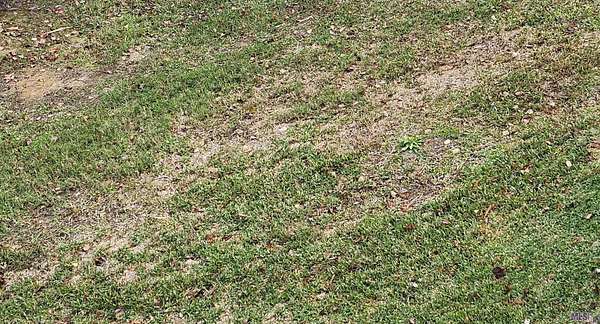 0.2 Acres of Residential Land for Sale in Baton Rouge, Louisiana