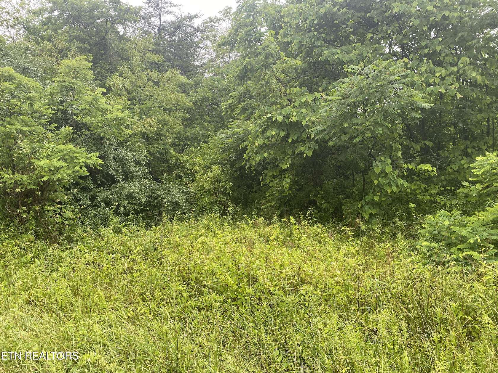 45.9 Acres of Recreational Land for Sale in Oneida, Tennessee