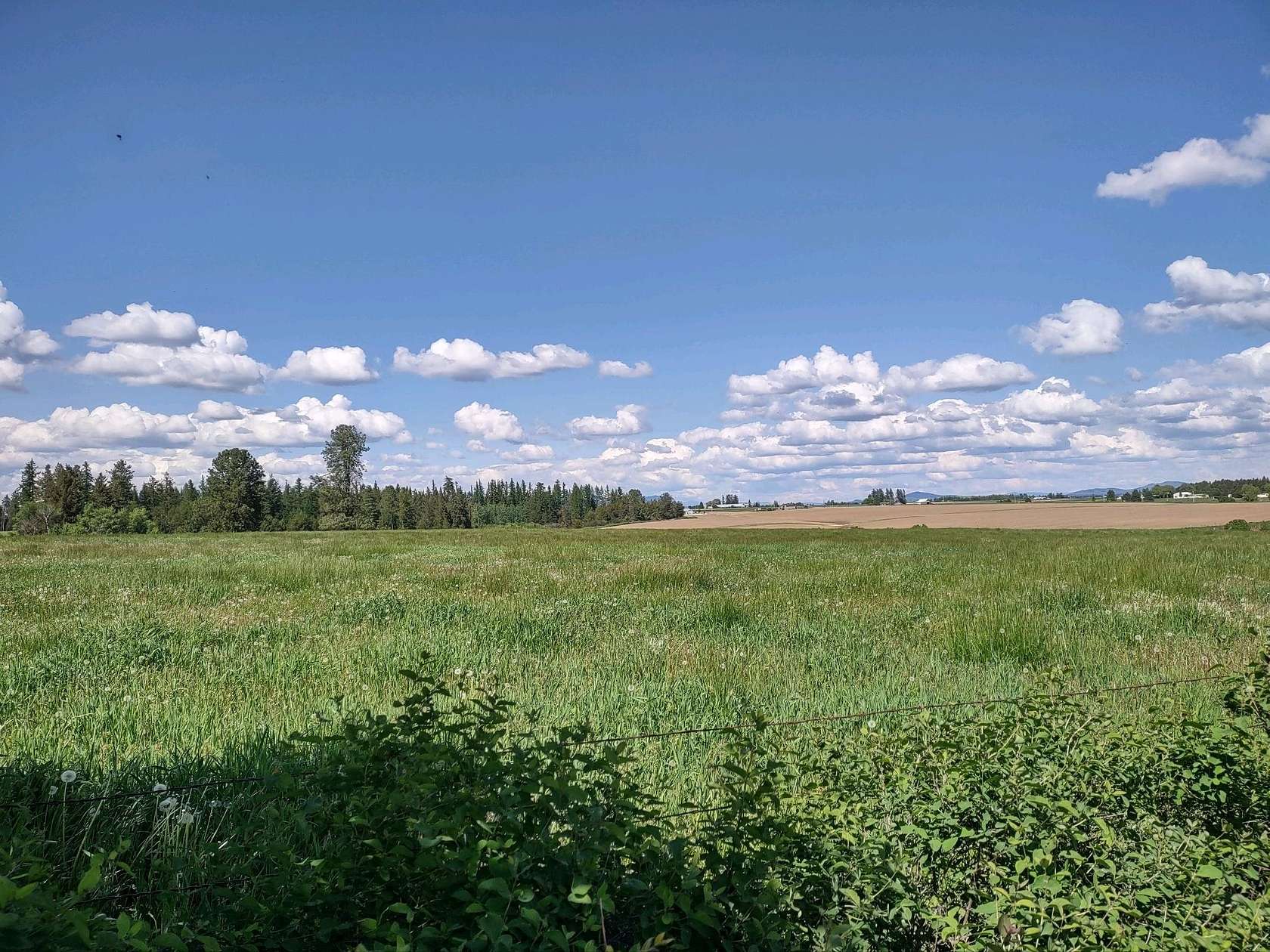 17 Acres of Land for Sale in Deer Park, Washington