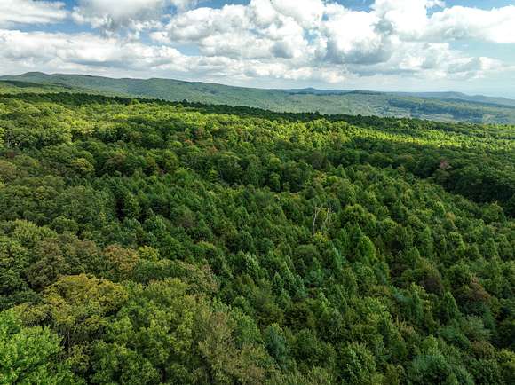 Land For Sale In Duffield Va