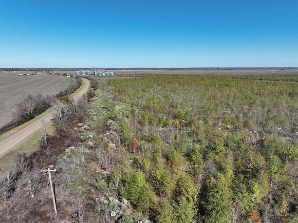 291 Acres of Recreational Land & Farm for Sale in Vidalia, Louisiana