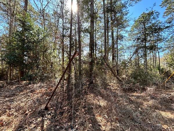 0.17 Acres of Residential Land for Sale in Woodville, Texas