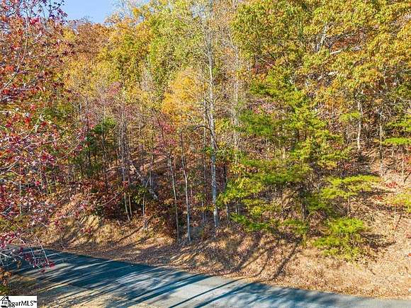 2.7 Acres of Residential Land for Sale in Columbus, North Carolina