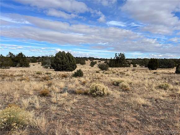 20.1 Acres of Agricultural Land for Sale in Seligman, Arizona