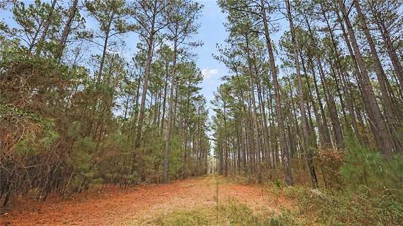 9.2 Acres of Residential Land for Sale in Ellaville, Georgia