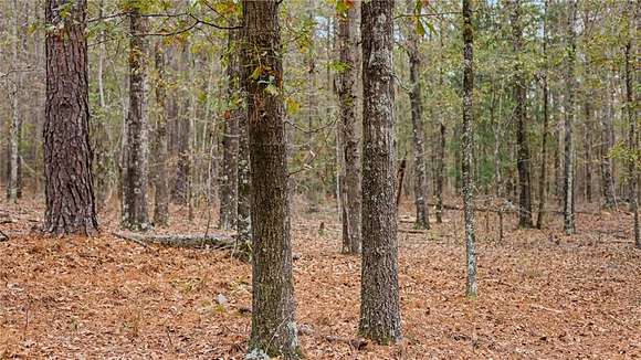 6.6 Acres of Residential Land for Sale in Ellaville, Georgia