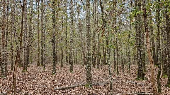 11.6 Acres of Land for Sale in Ellaville, Georgia