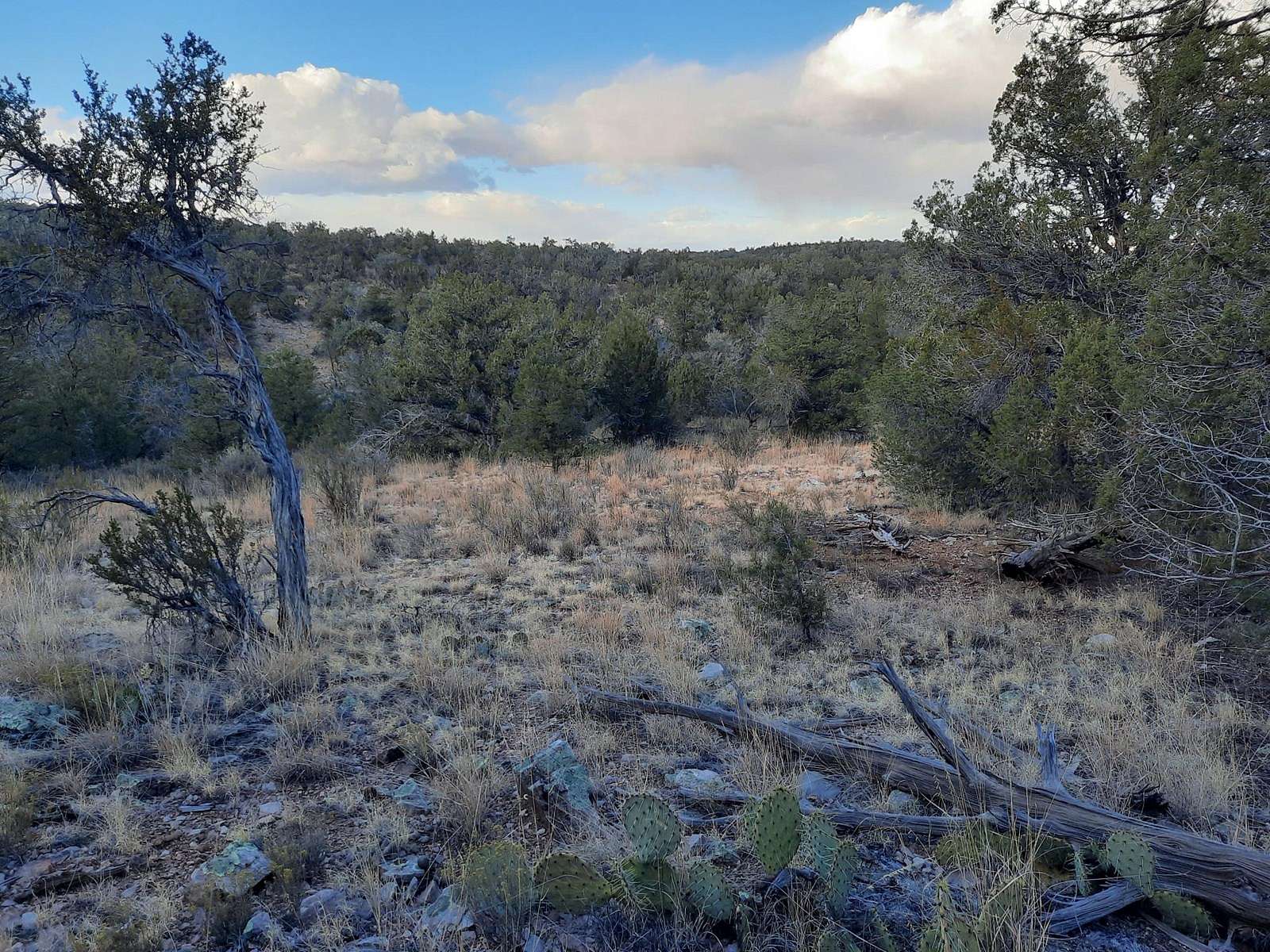 16.7 Acres of Recreational Land & Farm for Sale in Seligman, Arizona