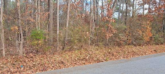 0.21 Acres of Residential Land for Sale in Ringgold, Georgia