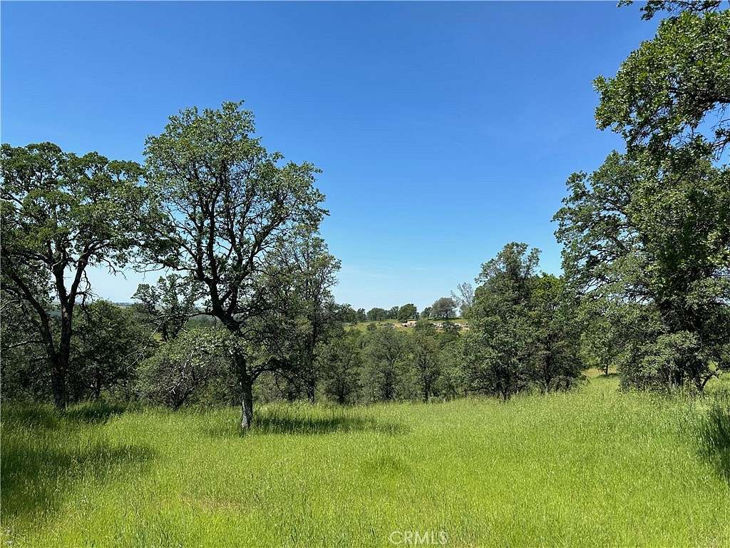 10.1 Acres of Land for Sale in Bangor, California