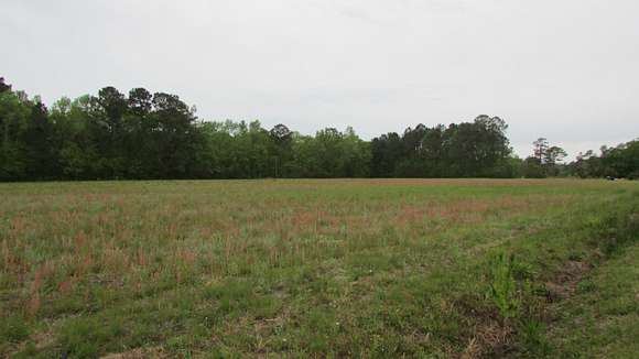 14.1 Acres of Land for Sale in Johns Island, South Carolina