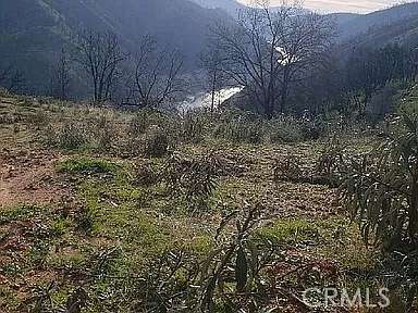 80.2 Acres of Land for Sale in Berry Creek, California