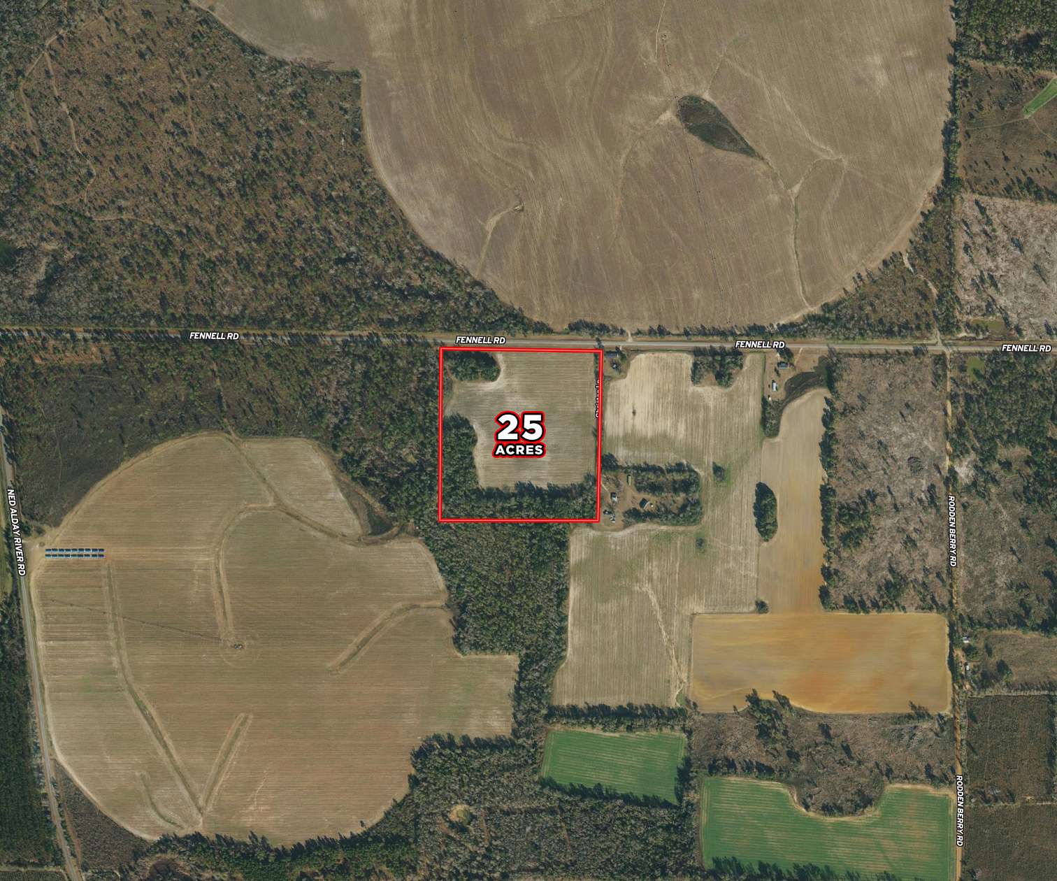 25 Acres of Recreational Land for Sale in Donalsonville, Georgia