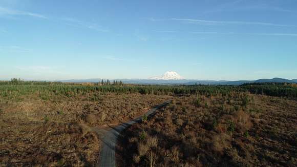 41.4 Acres of Recreational Land for Sale in Yelm, Washington