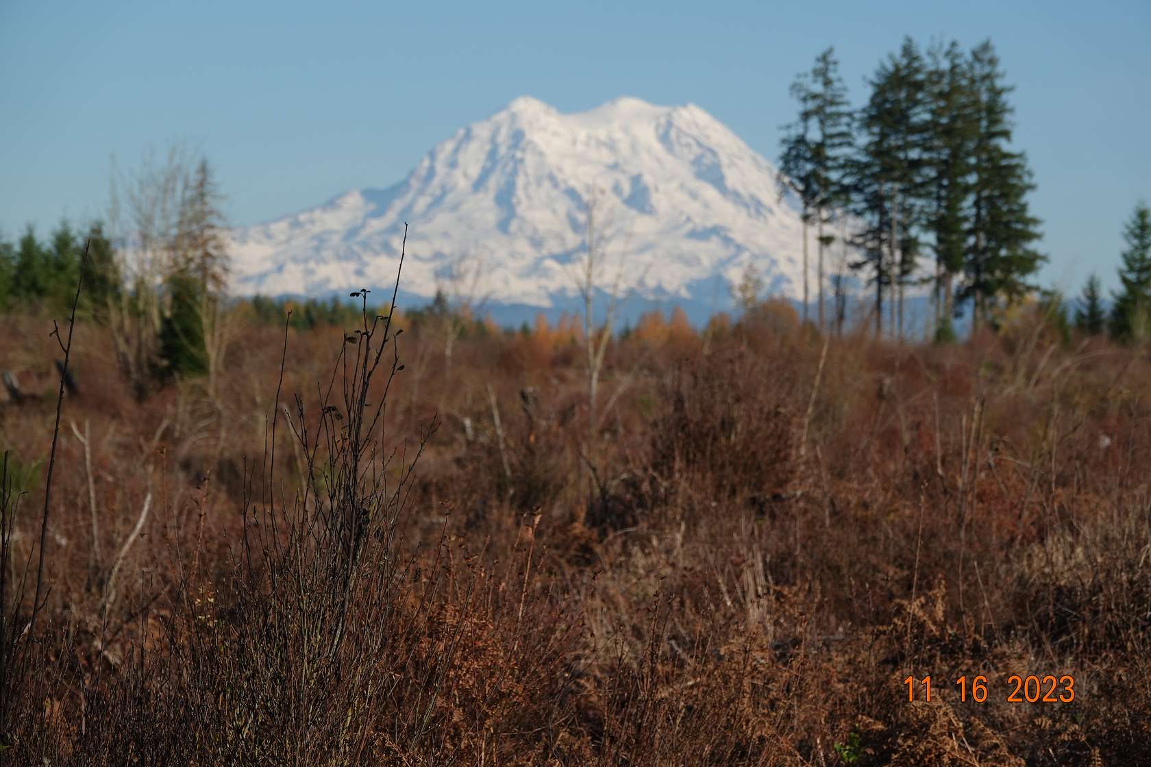 41.7 Acres of Recreational Land for Sale in Yelm, Washington