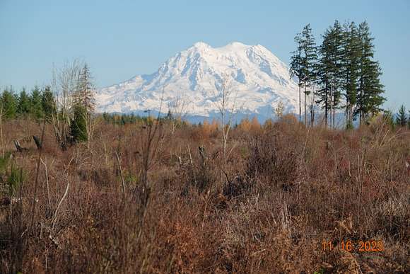 72.8 Acres of Recreational Land for Sale in Yelm, Washington
