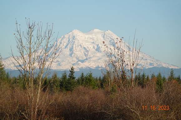 40.3 Acres of Recreational Land for Sale in Yelm, Washington