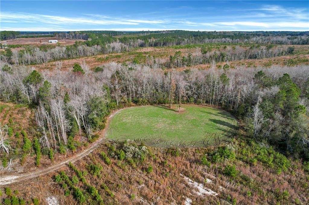 181 Acres of Recreational Land & Farm for Sale in Hazlehurst, Georgia