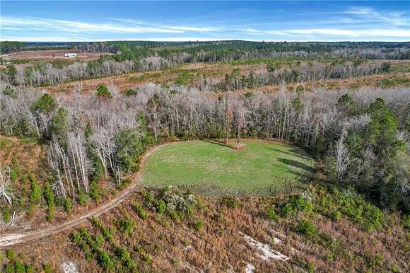 181 Acres of Recreational Land & Farm for Sale in Hazlehurst, Georgia