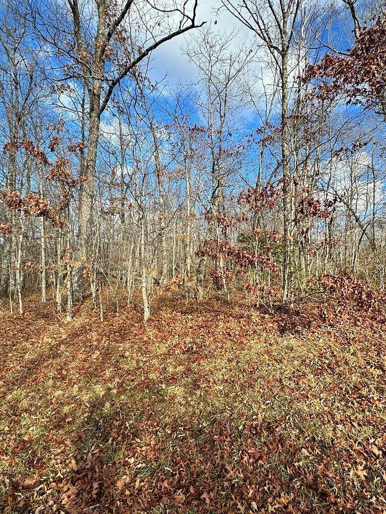 Residential Land for Sale in Monterey, Tennessee