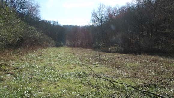 90.9 Acres of Land for Sale in Gainesboro, Tennessee