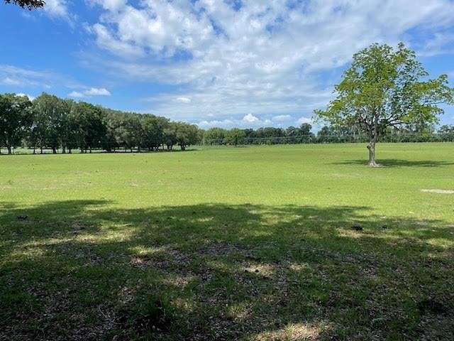 81.4 Acres of Land for Sale in Chiefland, Florida