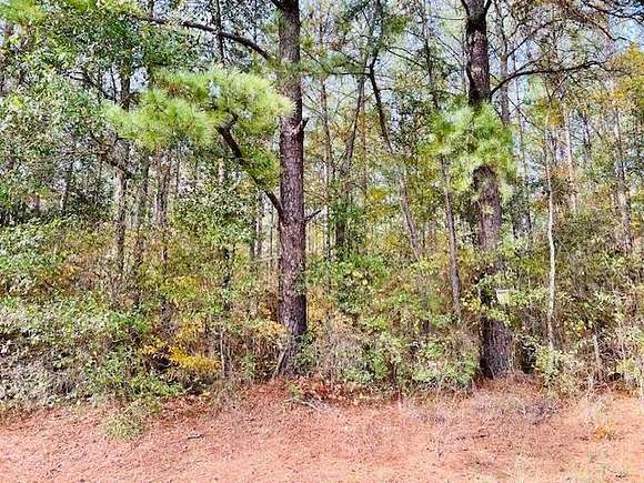 126 Acres of Land for Sale in San Augustine, Texas