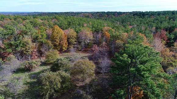 114 Acres of Land for Sale in Palestine, Texas