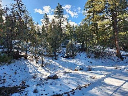 5.5 Acres of Residential Land for Sale in Cotopaxi, Colorado