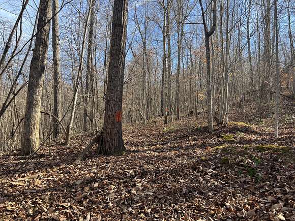 77.49 Acres of Land for Sale in Monticello, Kentucky - LandSearch