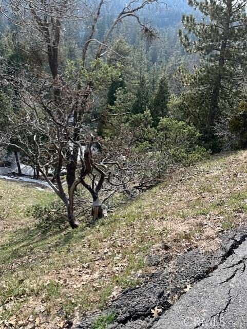 0.16 Acres of Land for Sale in Crestline, California