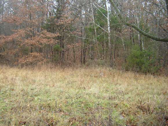 19.4 Acres of Recreational Land & Farm for Sale in Licking, Missouri