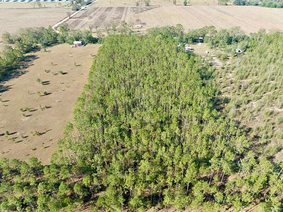 5.8 Acres of Land for Sale in Lee, Florida