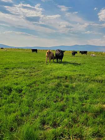 3,434 Acres of Land for Sale in Dairy, Oregon