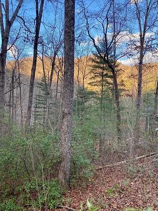 Land for Sale in Robbinsville, North Carolina