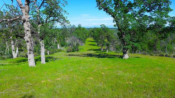 20 Acres of Recreational Land for Sale in Igo, California