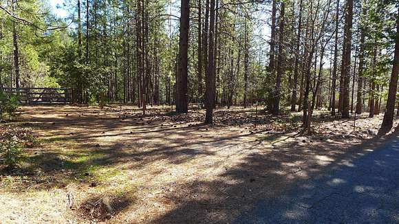 5 Acres of Land for Sale in Whitmore, California