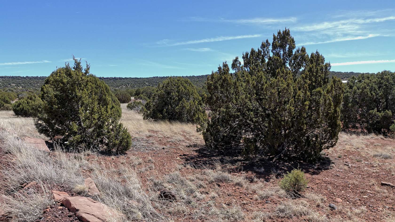 1 Acre of Residential Land for Sale in Chambers, Arizona